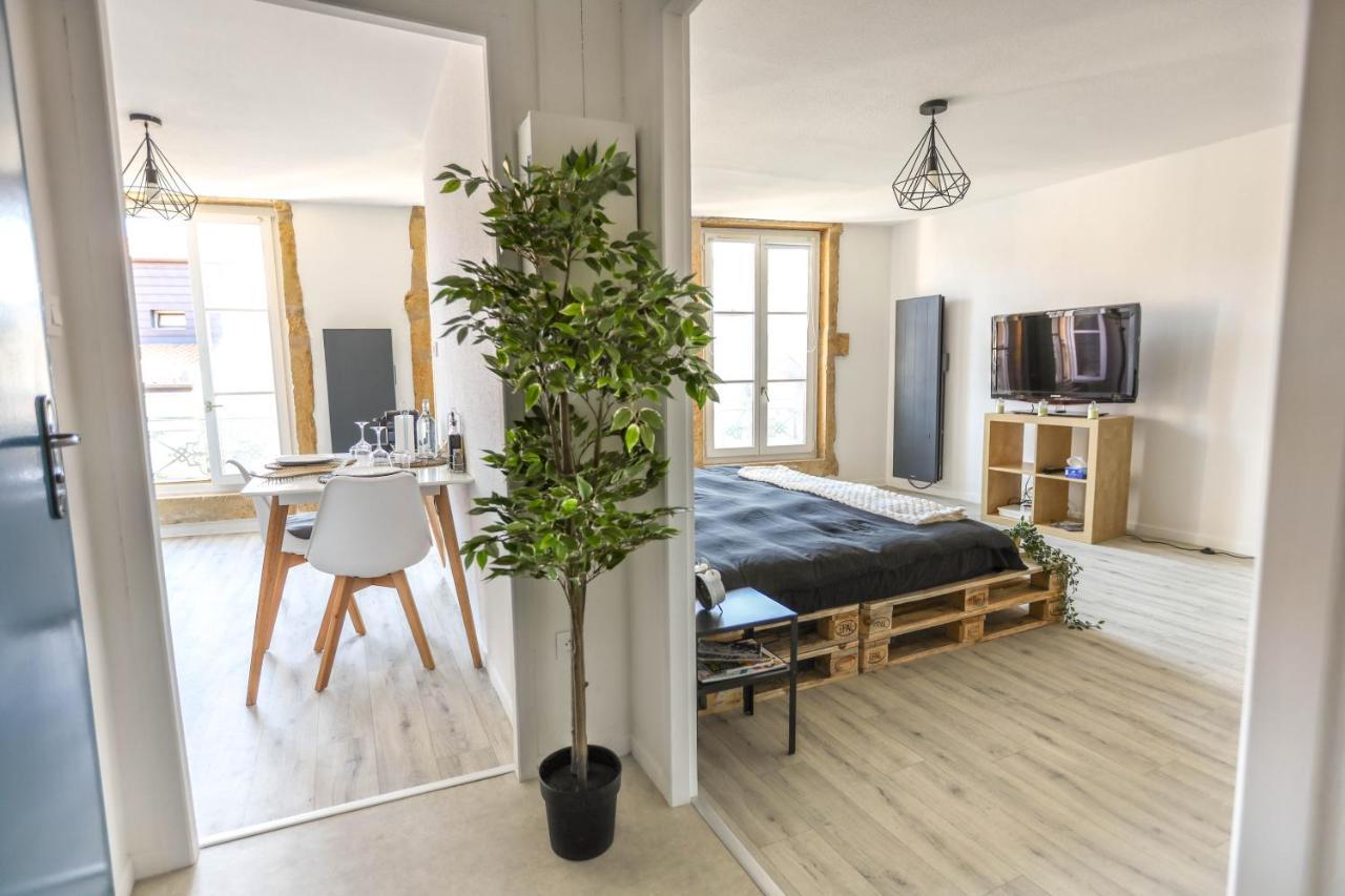 Grand Studio Tout Confort Au Coeur Du Centre Ville Metz Eksteriør bilde